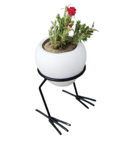 Quirky Bird Legs Planter